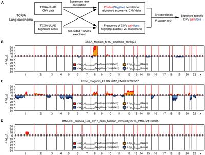 Elastic Net Models Based on DNA Copy Number Variations Predicts Clinical Features, Expression Signatures, and Mutations in Lung Adenocarcinoma